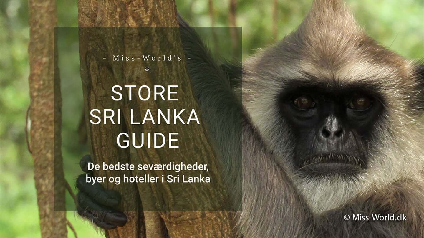 Sri Lanka guide