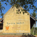 Se havskildpadder lægge æg i Sri Lanka, med Rekawa Turtle Watch
