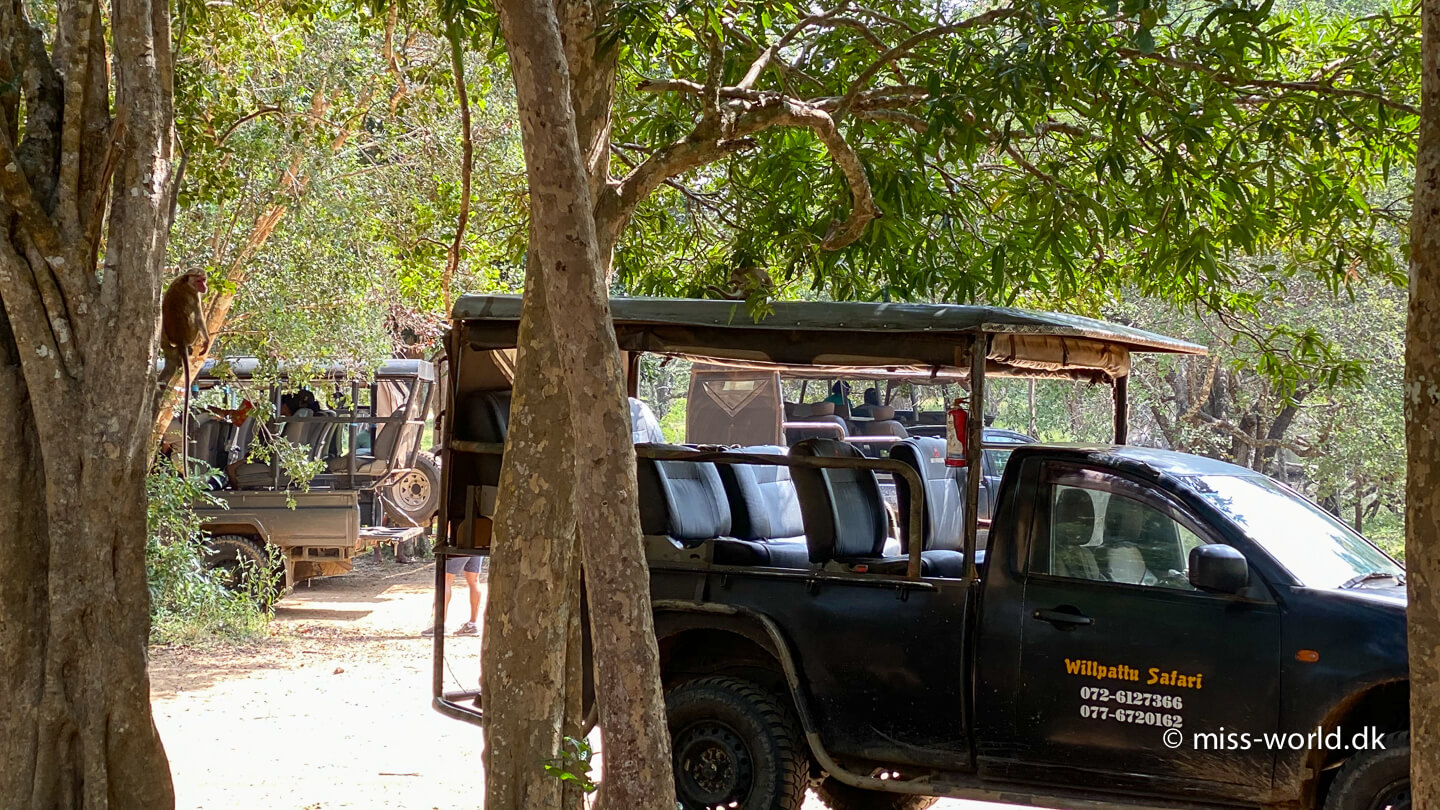 Willpattu safari Sri Lanka