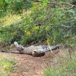 Yala National Park, Sri Lanka