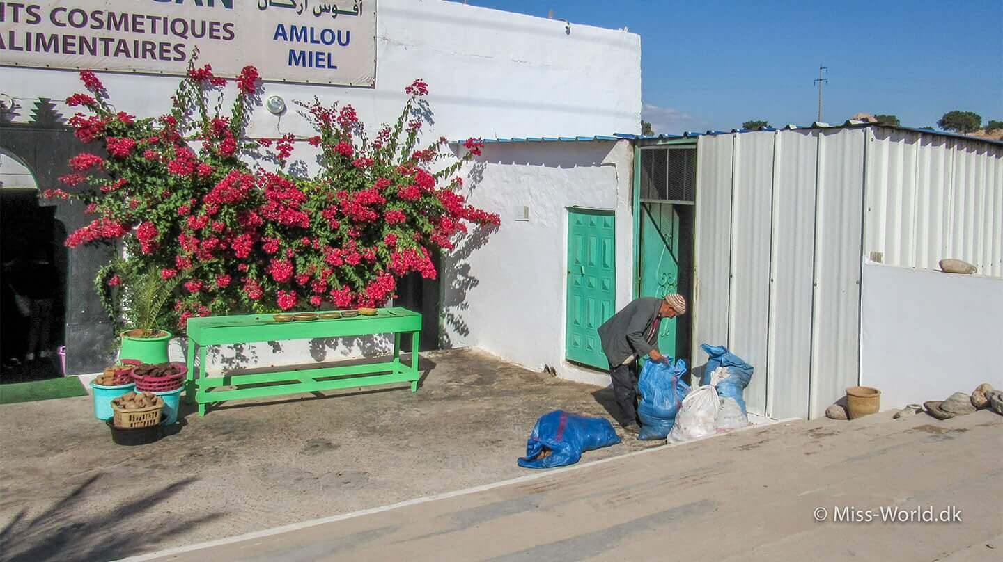 Afous Argan Oil Factory Morocco