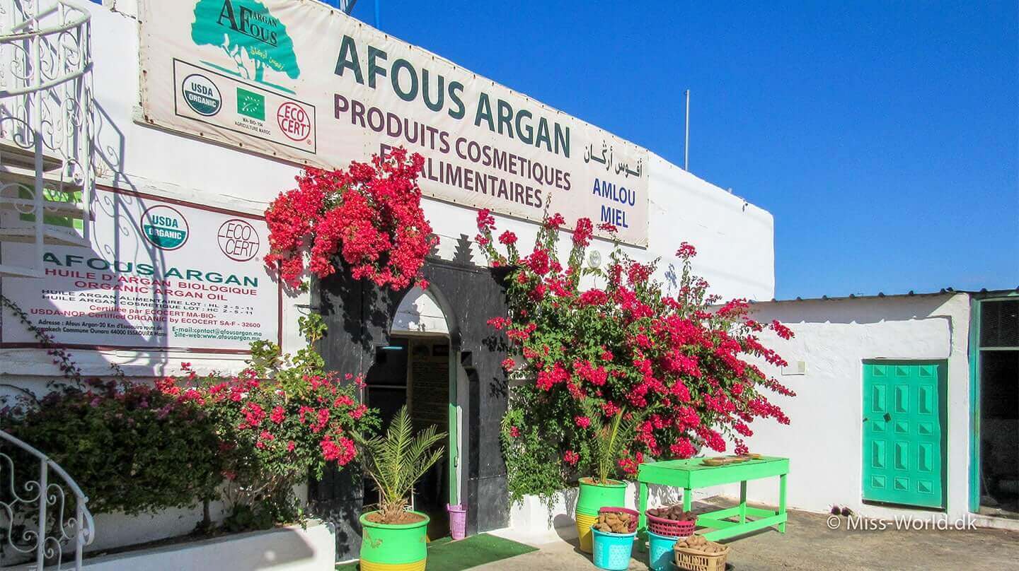Afous Argan Factory Morocco