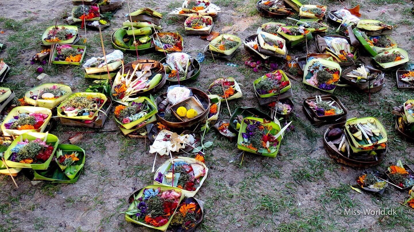 Offerings to the gods of the sea, Sanur Beach Bali
