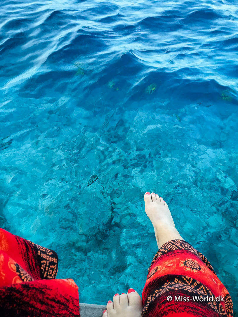 Barfodsluksus. Vandet på Maldiverne er fuld af farverige fisk