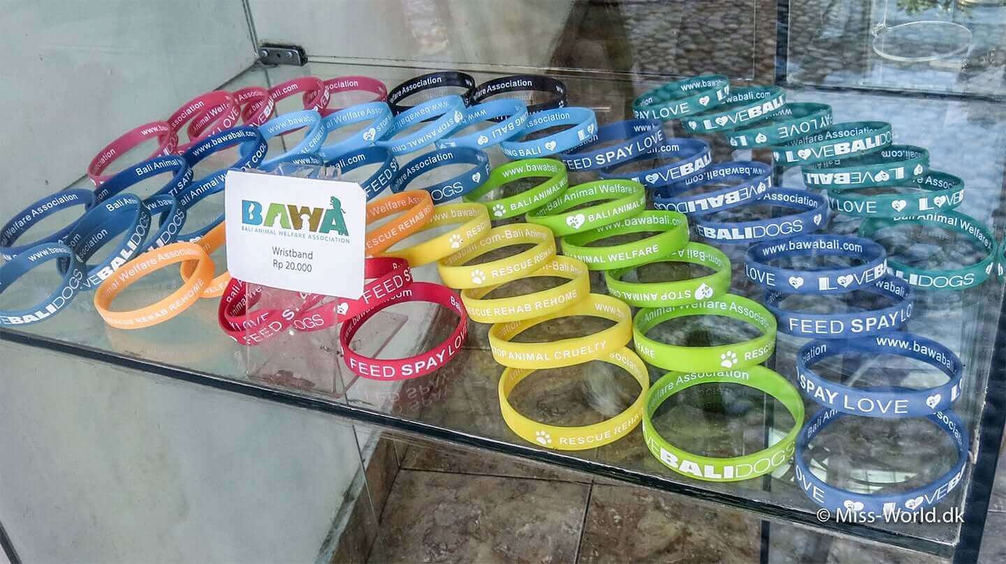 Bali Animal Welfare Association - BAWA Wristband Help the Bali Dogs by donating money