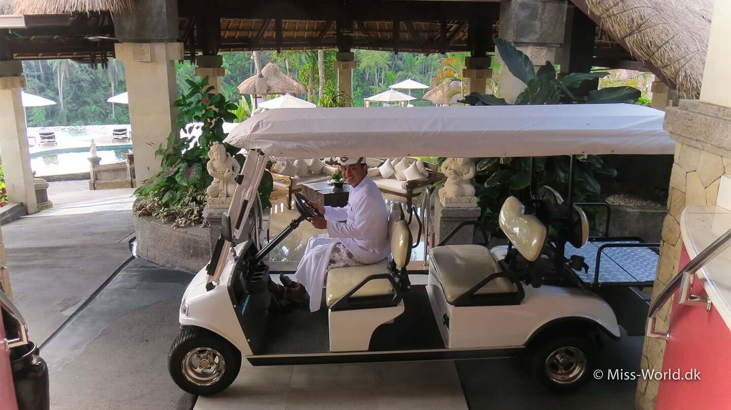 The butler Pancha is picking up guests and luggage in his extended golf car, at the luxurious 5 star hotel Viceroy Bali in Ubud 