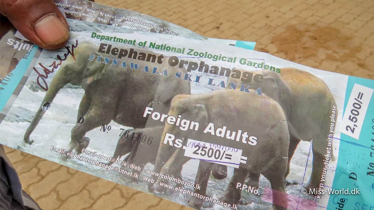 Pinnawala elephant orphanage billetter