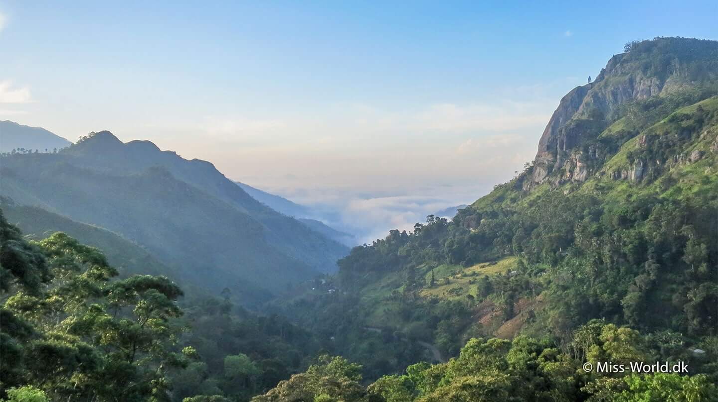 Smukke Ella i Sri Lankas bjerge ♡