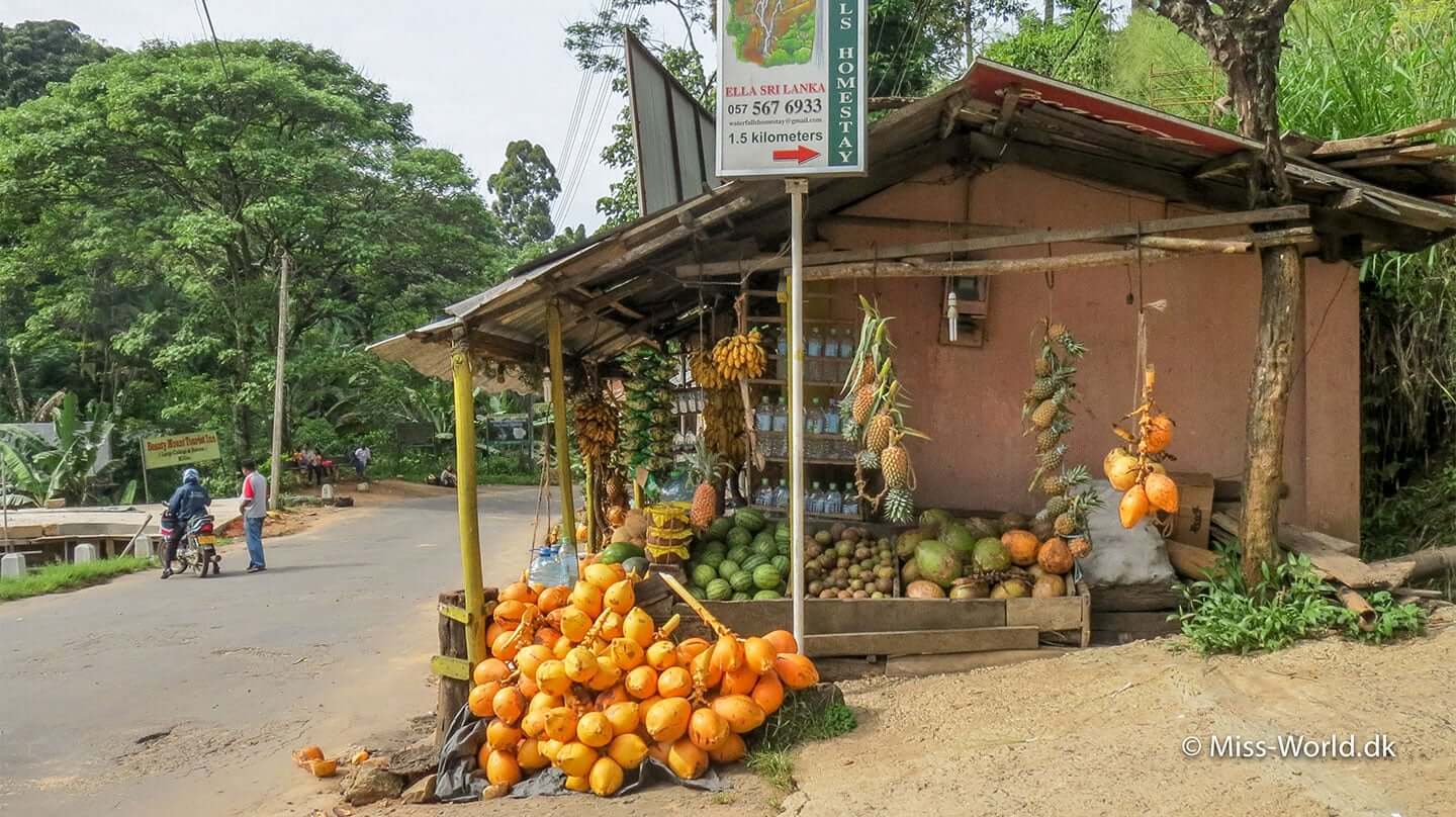 Butikken med kokosnødder og ananas i Ella ligger lige ved Waterfall Road, vejen der fører op til det bedste udsigtspunkt over Ella Gap