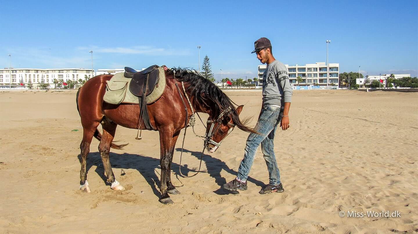 Essaouira beach - Ismail and his beautiful horse