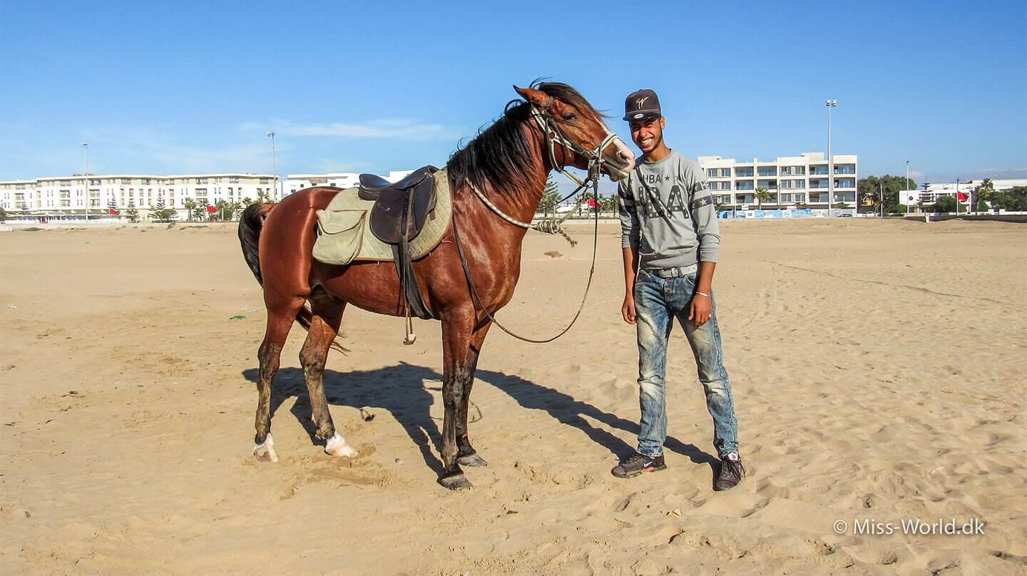 Essaouira beach - Ismail and his beautiful horse