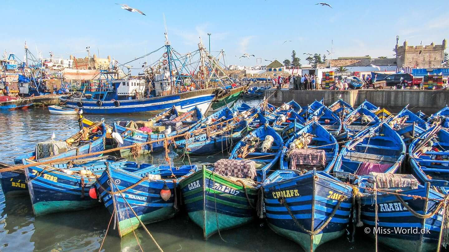 Essaouira Port Boats