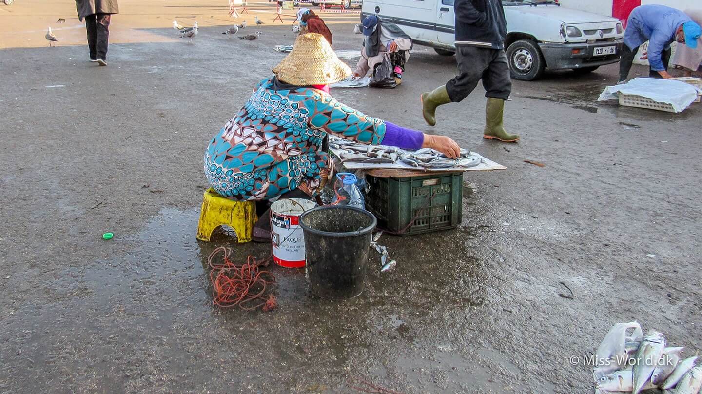 Essaouira Port Morocco - Lady selling fish