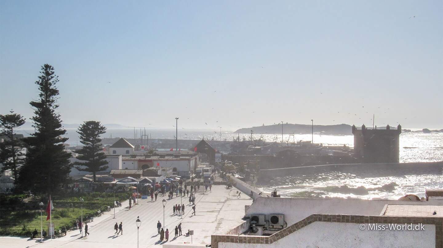 Harbour Essaouira Morocco 