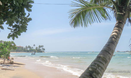 Svøm med havskildpadder i Hikkaduwa, Sri Lanka