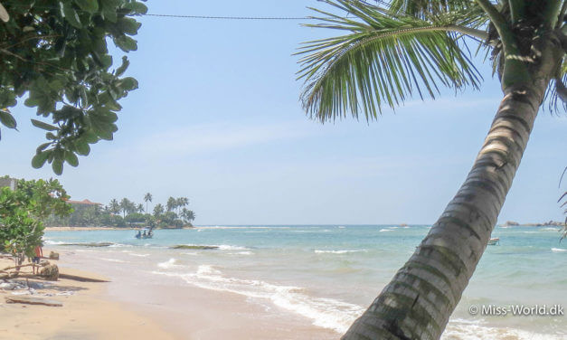 Svøm med havskildpadder i Hikkaduwa, Sri Lankas mest populære ferieby