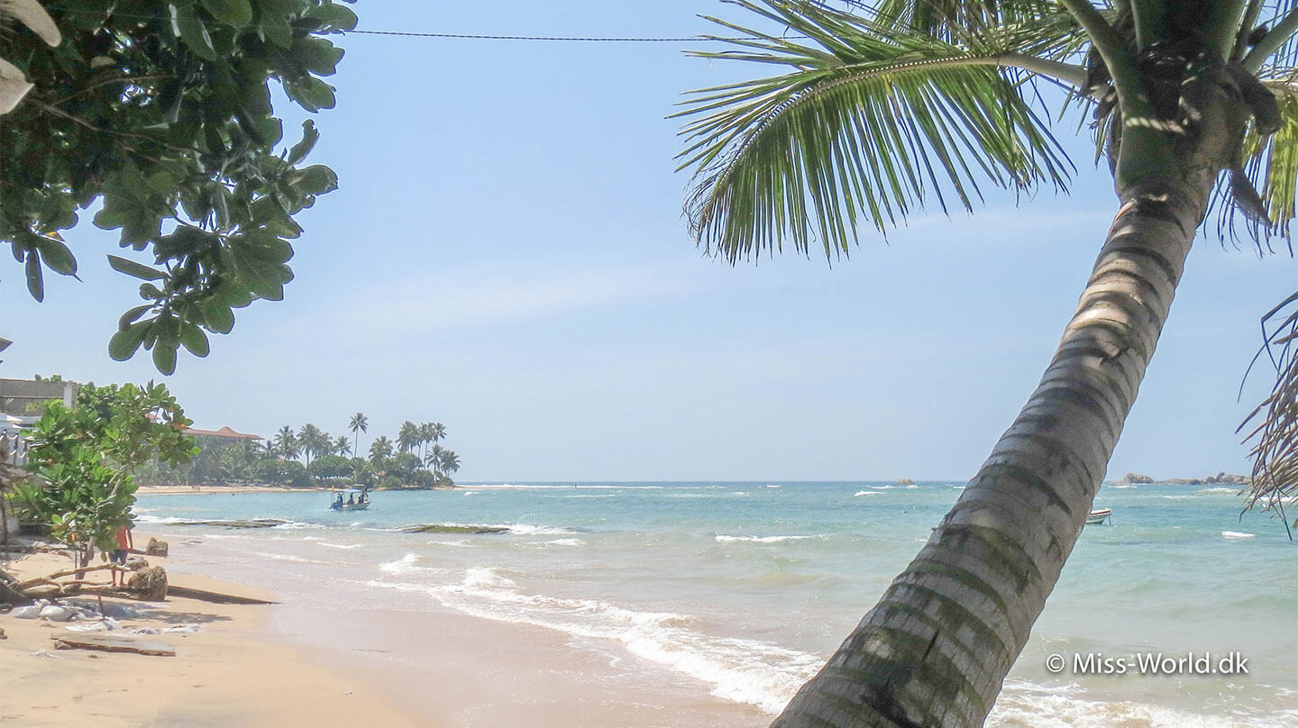 Svøm med havskildpadder i Hikkaduwa, Sri Lankas mest populære ferieby
