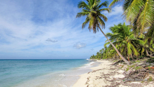 Isla Saona 3 Dage Off grid I Den Dominikanske Republik Isla Saona 3 Dage Off grid I Den Dominikanske Republik