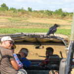 Mine bedste tips til en vellykket jeep safari i Sri Lanka