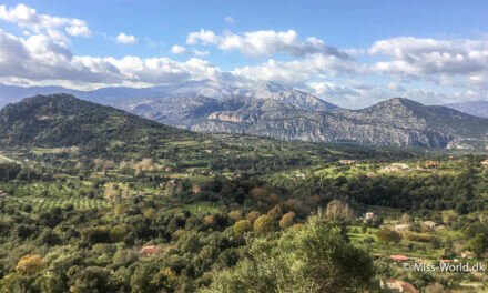 La Strada del Vino Cannonau, Sardinien