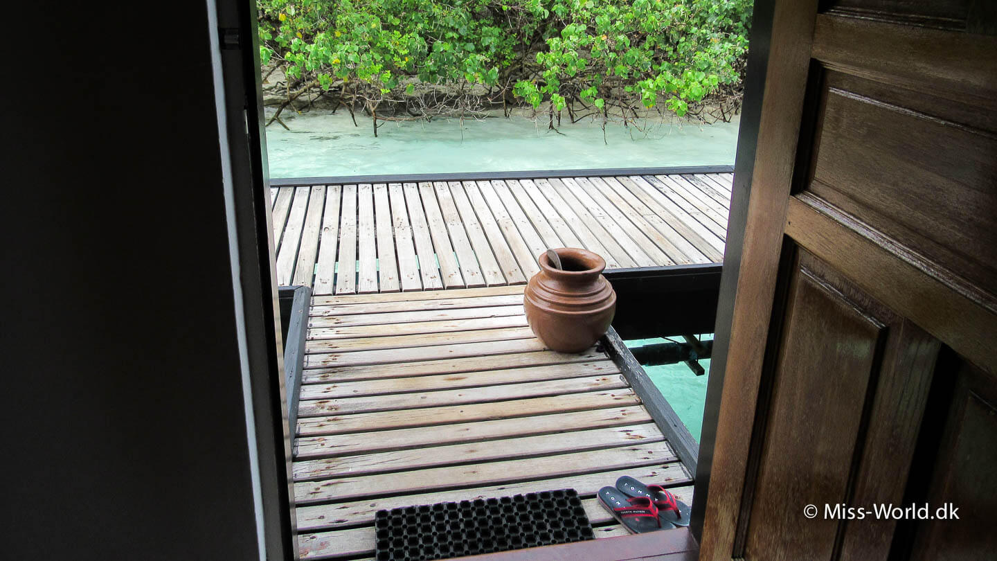 hytte med glasbund maldiverne