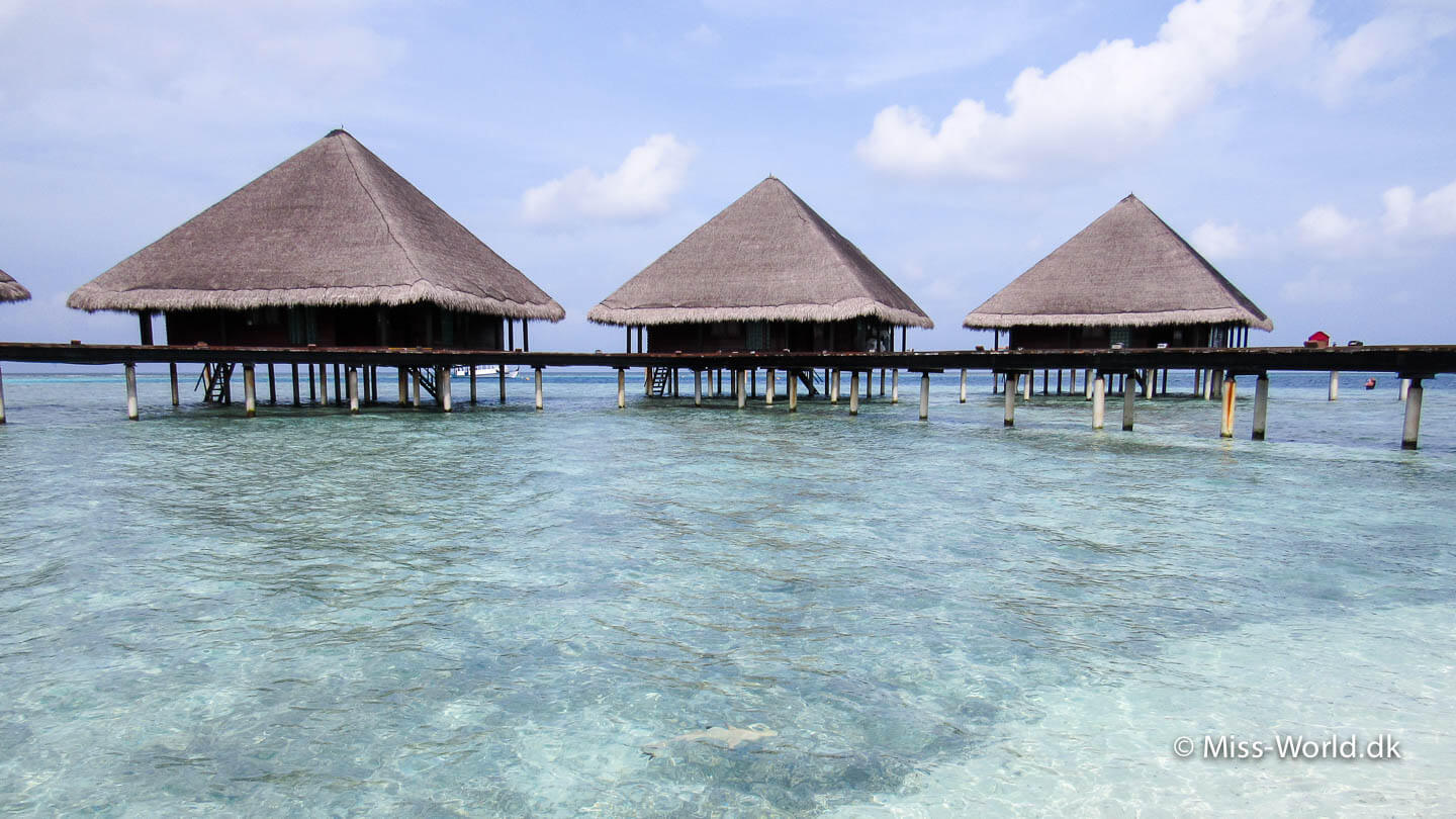 Drømmeferie på Maldiverne