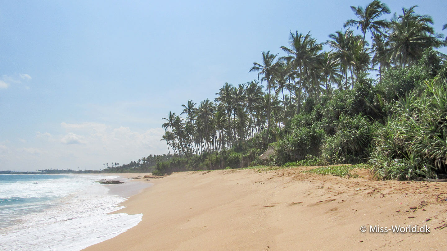Rekawa Beach Sri Lanka