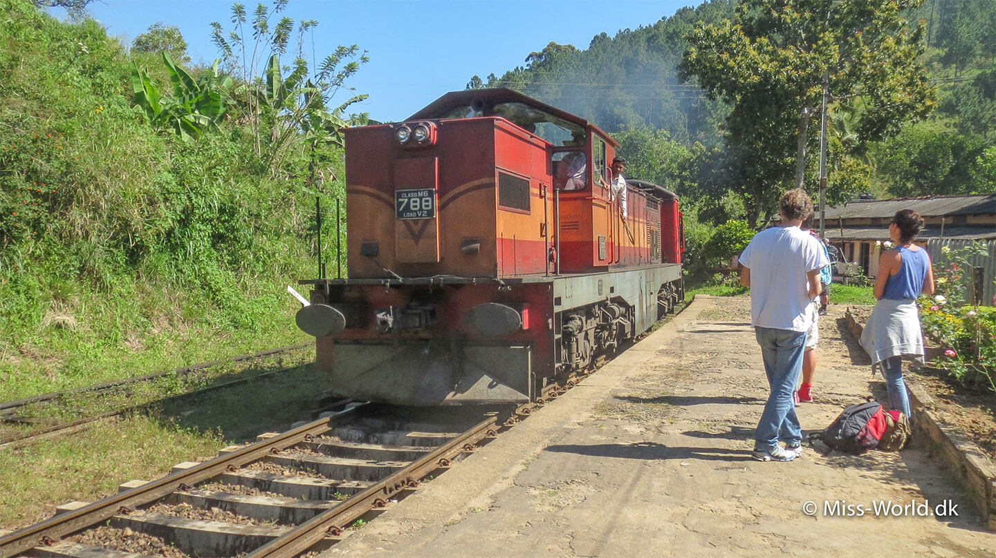 Toget mod Colombo på togstationen i Ella Sri Lanka