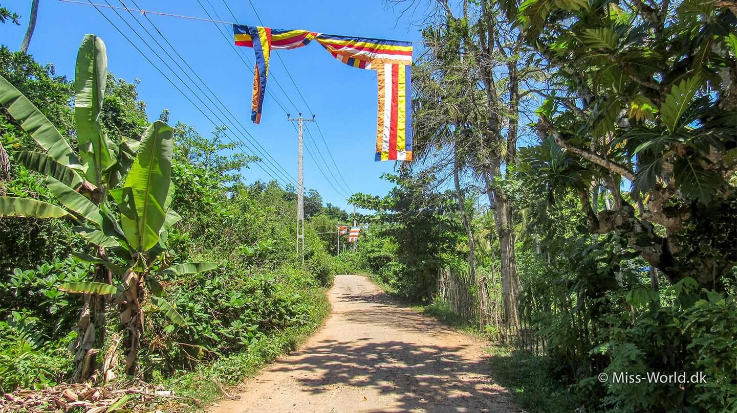 Vesak - Buddhist flag in Ahangama, Sri Lanka
