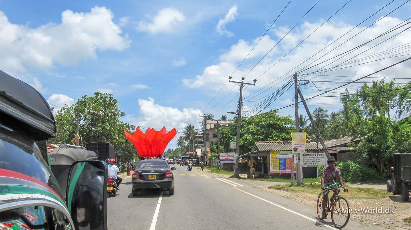 Vesak Lotus, Galle Sri Lanka