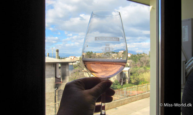 Vinsmagning på Sardinien og gastronomi- og vinfestival Binu & B’Week